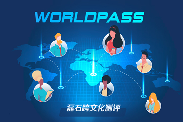 磊石跨文化測評(píng)系統(tǒng)開發(fā)